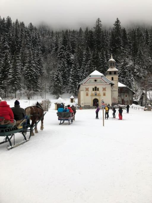Appartement Au Pays Du Mont-Blanc Sallanches Esterno foto