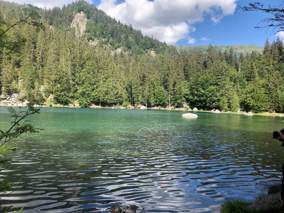 Appartement Au Pays Du Mont-Blanc Sallanches Esterno foto