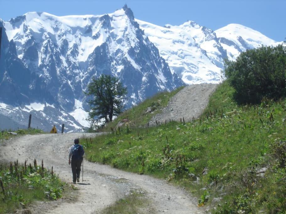 Appartement Au Pays Du Mont-Blanc Sallanches Esterno foto